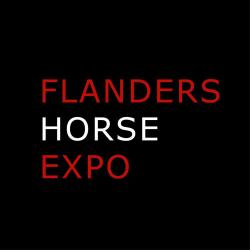 Flanders Horse Expo: het strijdtoneel van de finale van de VLP Club Battle