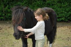 De kinderen halen hun pony van de weide